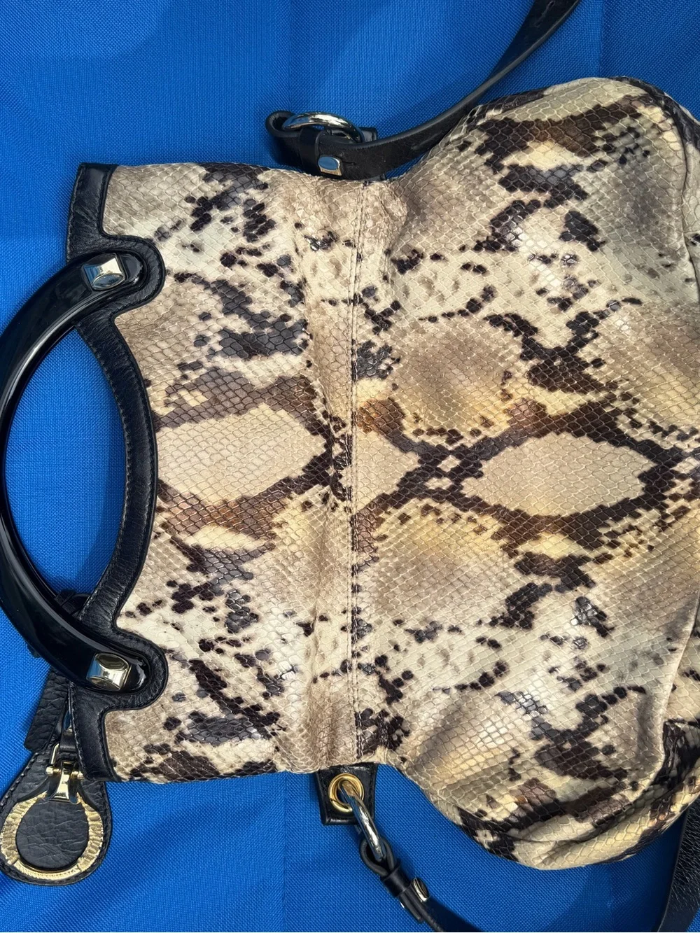 Beautiful Snake-Skin Shoulder Bag with Black Trim and Gold Hardware. Authentic